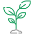 Natural Herb Extract